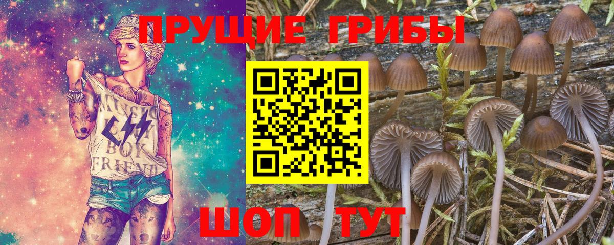 Псилоцибиновые грибы ЛСД  где найти   Вход с VPN  Барнаул  Галлюциногенные грибы Psilocybe 